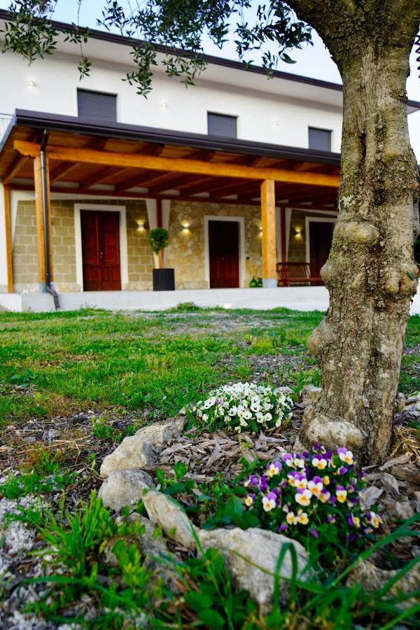 Bed and Breakfast Atomos Alvignano Exterior foto
